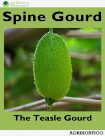 Spine Gourd: The Teasle Gourd - AGRIHORTICO