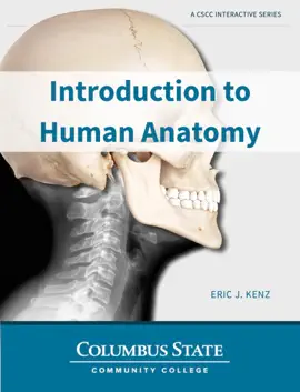 Introduction to Human Anatomy