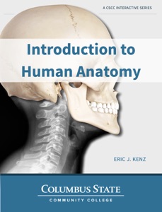 Introduction to Human Anatomy