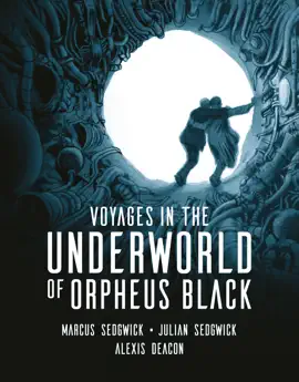 Read: Voyages in the Book Underworld of Orpheus Black