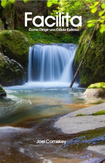 Facilita by Joel Comiskey