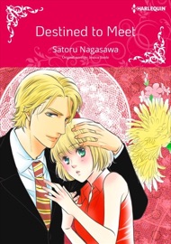 Destined To Meet(Colored Version) - Satoru Nagasawa & Jessica Steele
