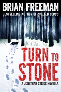 Turn to Stone by Brian Freeman
