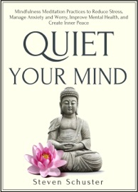Quiet Your Mind - Steven Schuster