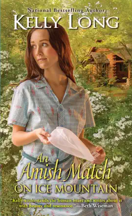 Read: An Amish Match on Book Ice Mountain