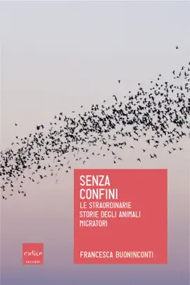 Read: Senza Book confini