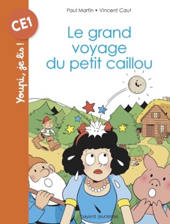 Le grand voyage du petit caillou by Paul Martin & Vincent Caut