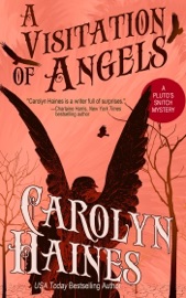 A Visitation of Angels - Carolyn Haines