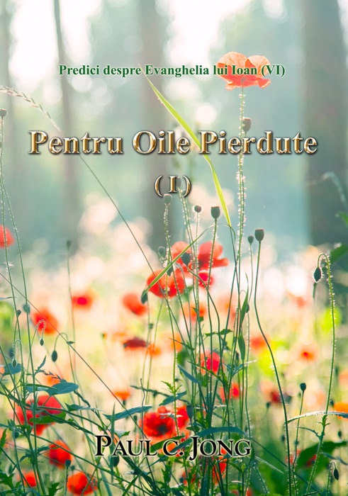 Pentru Oile Pierdute (I)