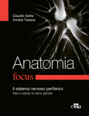 Anatomia Focus - Claudio Sette & Amelia Toesca