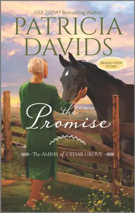 Read: The Promise Book