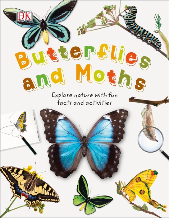 Butterflies and Moths
