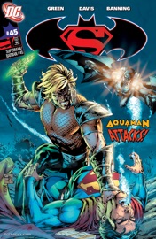 Superman/Batman (2003-2011) #45 - Michael Green & Shane Davis