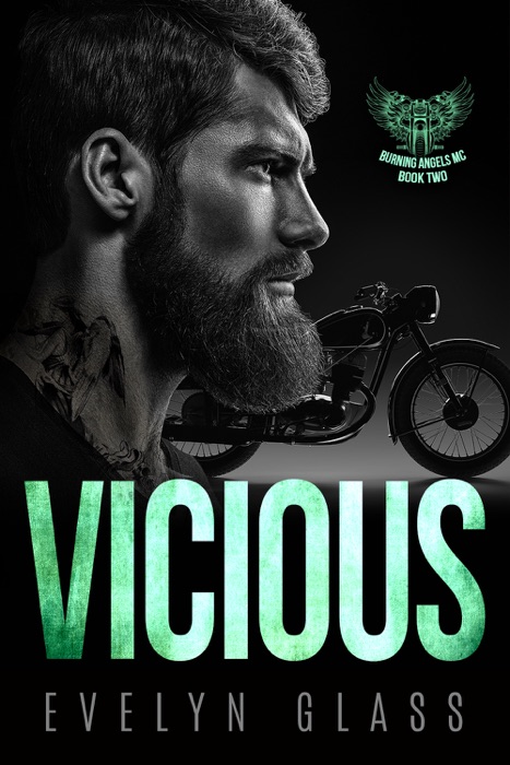 Vicious (Book 2)