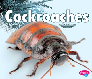 Cockroaches by Lisa J. Amstutz