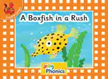 A Boxfish in a Rush
