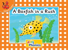 A Boxfish in a Rush - Louise Van-Pottelsberghe