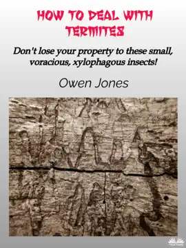 Read: How To Deal With Book Termites