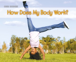 How Does My Body Work? by Charlotte Guillain