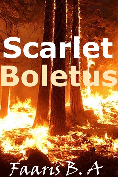 Scarlet Boletus