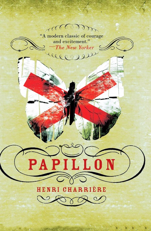 Papillon