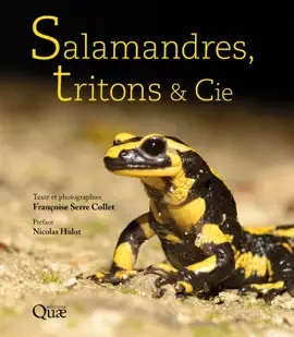 Read: Salamandres, tritons & Book Cie