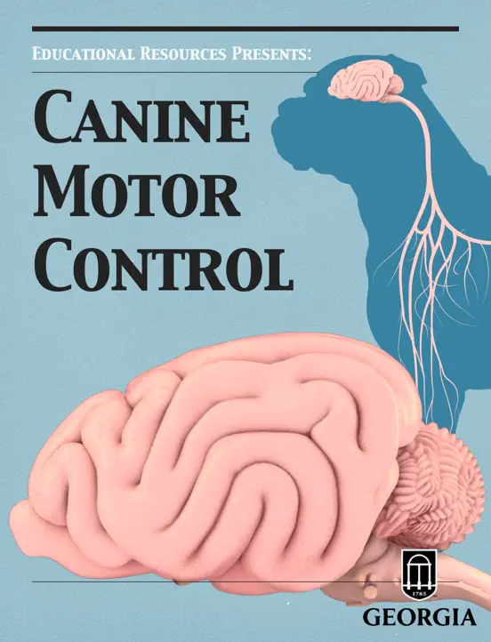 Canine Motor Control