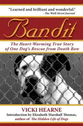Read: Bandit