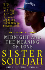 Midnight and the Meaning of Love - Sister Souljah Cover Art