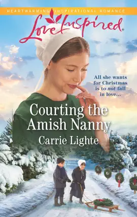Read: Courting Book the Amish Nanny