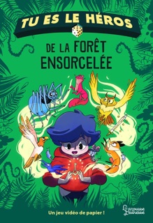 Tu es le héros de la forêt ensorcelée by Anne-Gaëlle Balpe