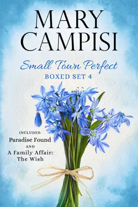 Small Town Perfect Boxed Set 4