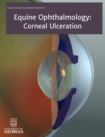 Equine Ophthalmology: Corneal Ulceration - Educational Resources, University of Georgia