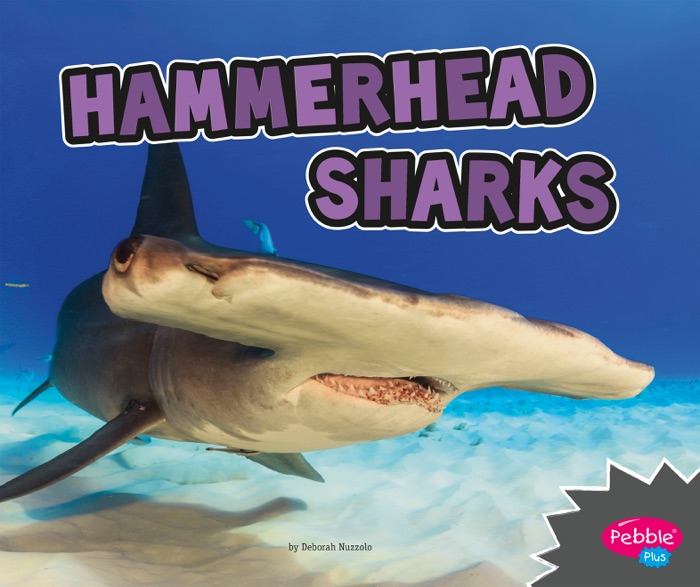 Hammerhead Sharks