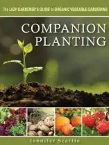 Companion Planting - The Lazy Gardener's Guide to Organic Vegetable Gardening