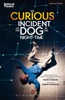 Book The Curious Incident of the Dog in the Night-Time