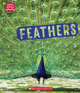 Read: Feathers (Learn About: Book Animal Coverings)