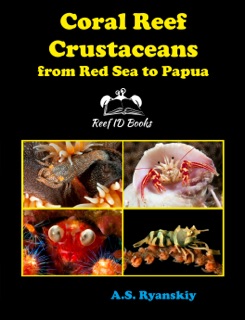 Coral Reef Crustaceans from Red Sea to Papua by Andrey Ryanskiy