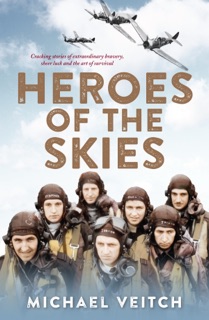 Heroes of the Skies by Michael Veitch
