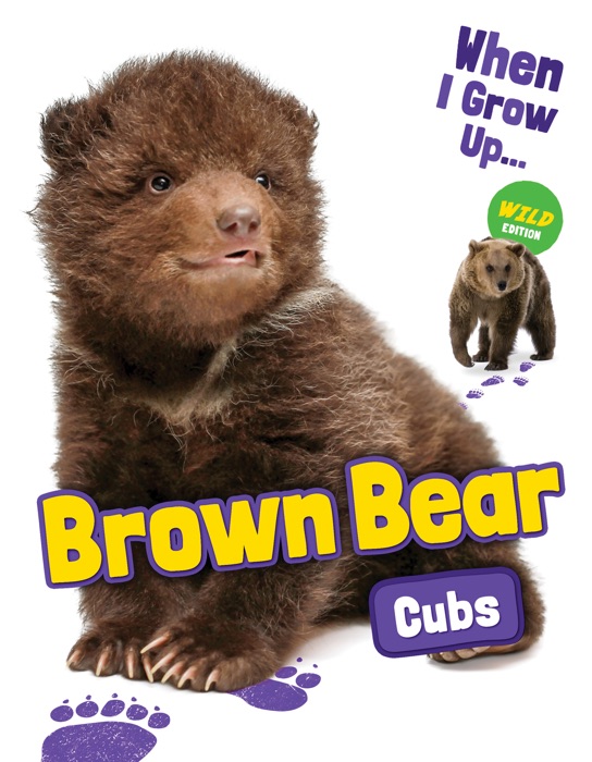 Brown Bear Cubs