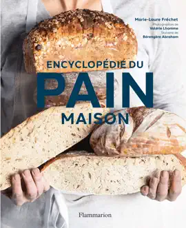 Read: Book Encyclopédie du pain maison