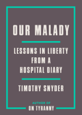 Our Malady - Timothy Snyder Cover Art