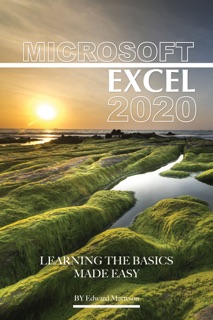 Microsoft Excel 2020: Learning the Basics Made Easy by Edward Marteson