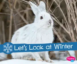 Let's Look at Winter