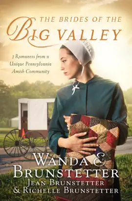 Read: Book The Brides of the Big Valley