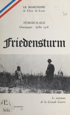 Read: Friedensturm : le Book tournant de la Grande Guerre