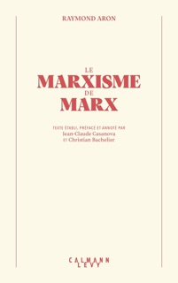 Le Marxisme de Marx by Raymond Aron