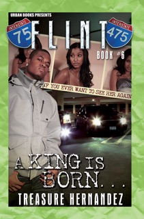 Flint Book 6 by Treasure Hernandez