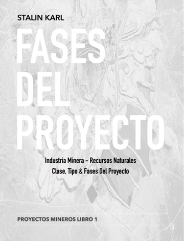 FASES DEL PROYECTO