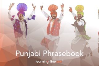 Punjabi Extended Phrasebook by Learningonlinexyz Inc